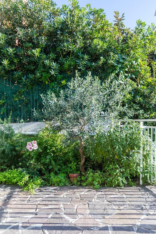 Casa Ceroni Lägenhet Rom Exteriör bild